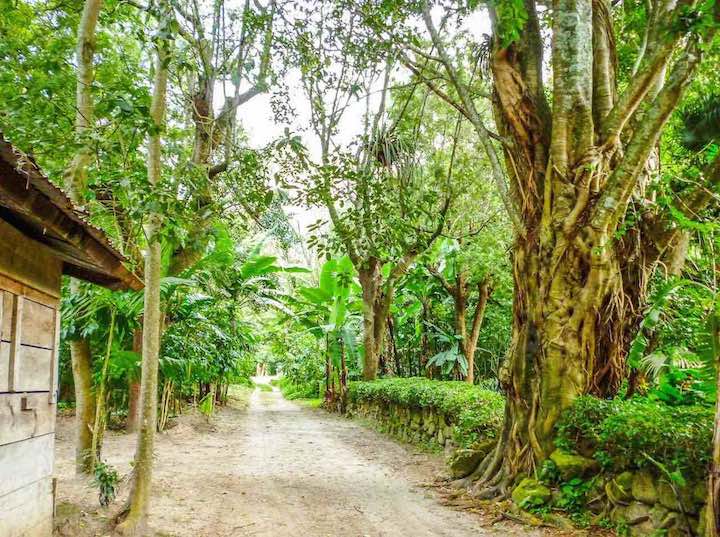 sanbuenaventuradeatitlan.com, Hotel San Buenaventura de Atitlan, Guatemala. Gardens