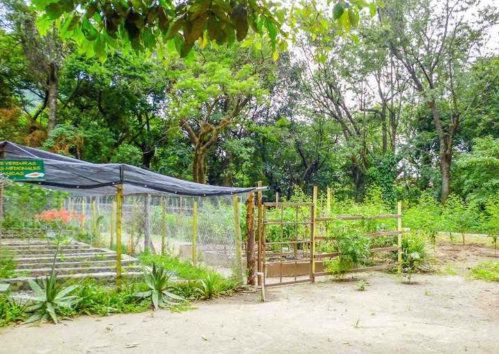 sanbuenaventuradeatitlan.com, Hotel San Buenaventura de Atitlan, Guatemala. Gardens