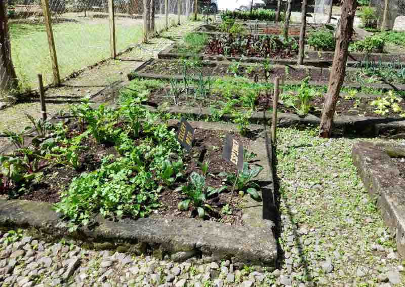 organic-gardens