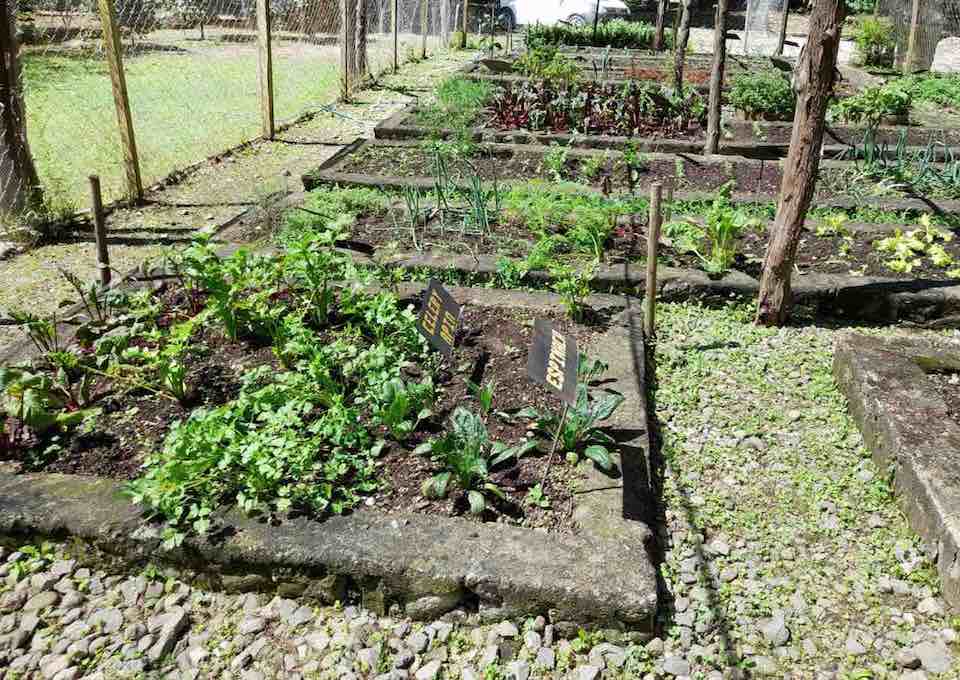 organic-gardens